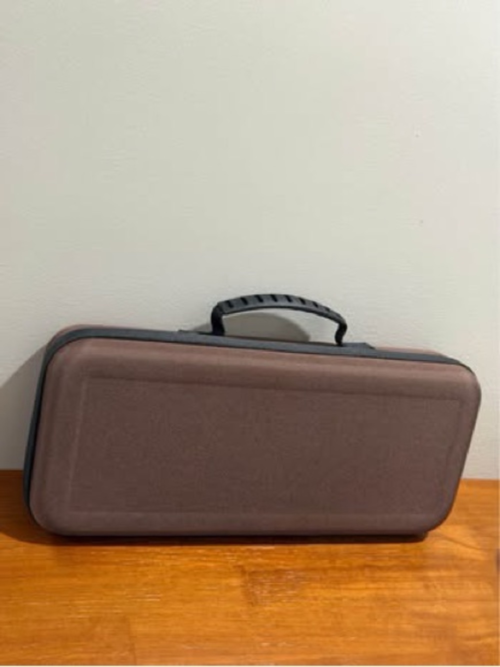 Dyson Airstrait Compatible Carrying Case